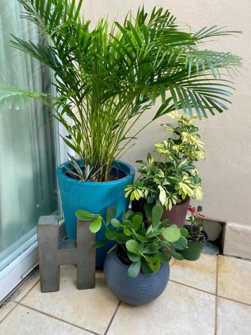 סן חואן Condado Del Mar Beach Front Jewel A3 מראה חיצוני תמונה