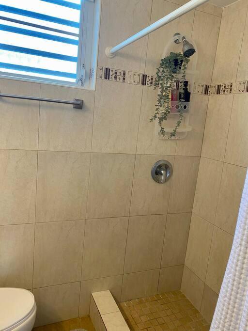 סן חואן Condado Del Mar Beach Front Jewel A3 מראה חיצוני תמונה